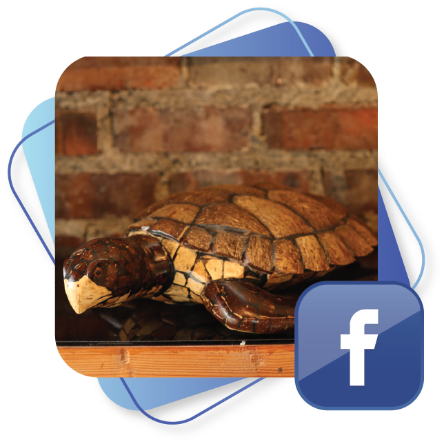 Facebook กะลาบารา