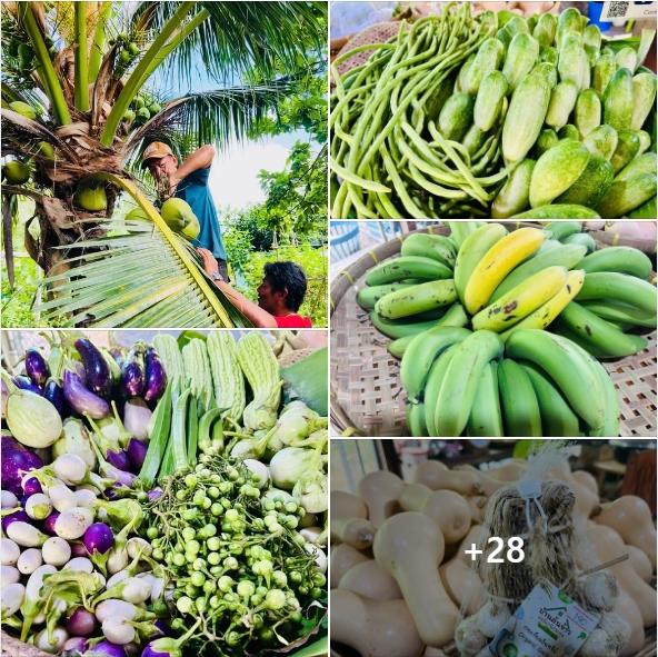 ดูสินค้า