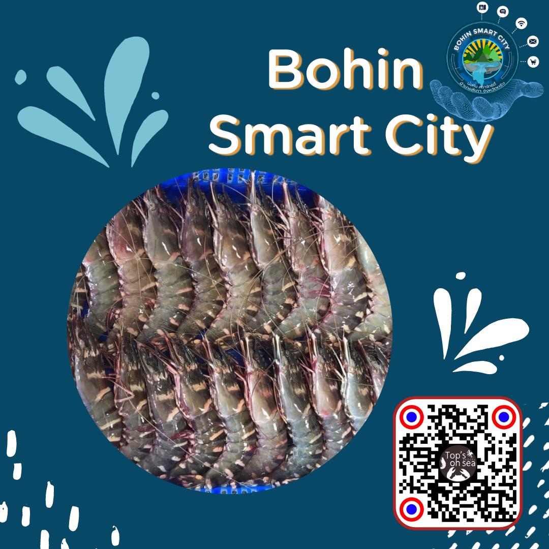 สินค้ายอดนิยม