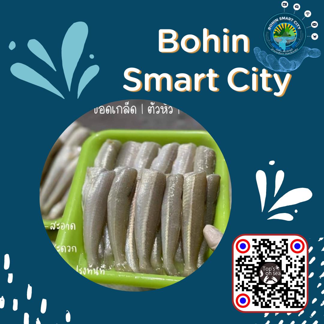 สินค้ายอดนิยม